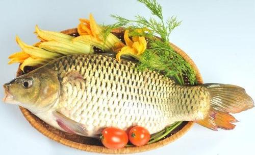 Cá rất nhiều dinh dưỡng