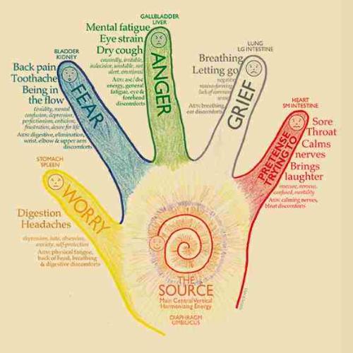 Mỗi ngón tay đều có mối liên quan với các cơ quan và cảm xúc của con người. 
