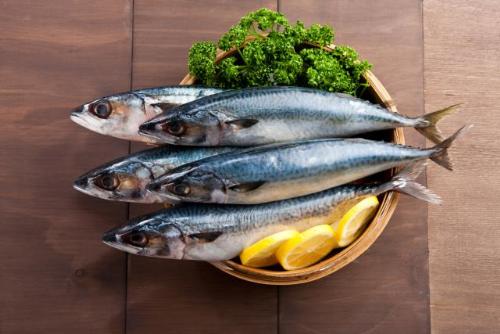 8 loai ca giau axit beo omega3 nhat3 17115937 8 loại cá rất giàu axit béo omega 3 nhất