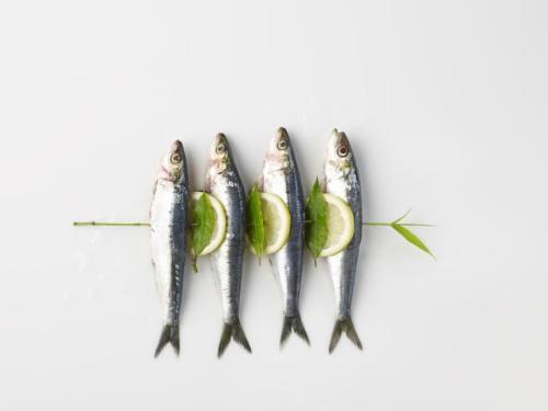 8 loai ca giau axit beo omega3 nhat4 17115531 8 loại cá rất giàu axit béo omega 3 nhất