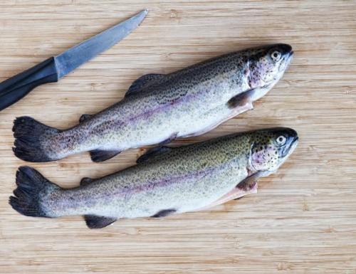 8 loai ca giau axit beo omega3 nhat7 17116859 8 loại cá rất giàu axit béo omega 3 nhất