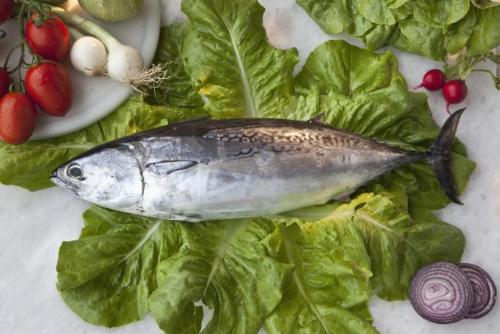 8 loai ca giau axit beo omega3 nhat8 17116140 8 loại cá rất giàu axit béo omega 3 nhất