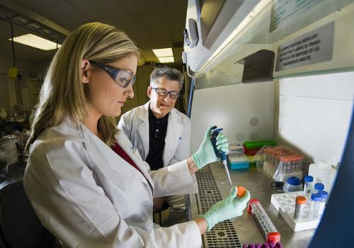 Các nhà khoa học Úc thông báo đã tìm ra loại thuốc chữa khỏi hoàn toàn bệnh viêm gan B mãn tính ở chuột thí nghiệm và đang hi vọng sẽ chữa khỏi bệnh cho người - Ảnh: healthaim.com