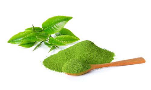 Bột trà xanh giúp chống lão hóa, sát khuẩn