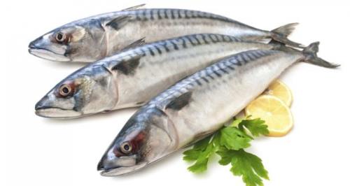 Những loại cá giàu omega 3 tốt cho người thoái hóa khớp gối
