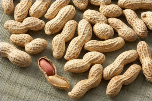 Top 7 loai thuc pham quen thuoc giau protein ban khong nen bo qua