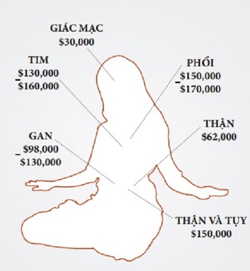 Hãy quý trọng từng bộ phận trên cơ thể vì chúng còn đắt hơn cả kim cương Hay quy trong tung bo phan tren co the vi chung con dat hon ca kim cuong