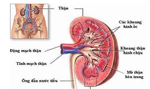Bac si Dong y noi tieng o Dai Loan chia se bi quyet duong than