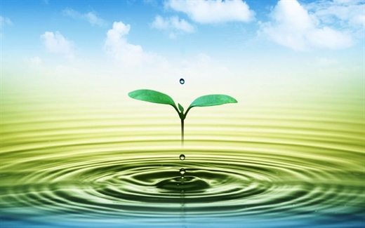 8 mon qua khong nen tang nhau vao ngay Tet de tranh xui xeo ca nam