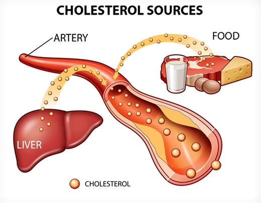Cholesterol va nhung dieu ban chua bao gio biet