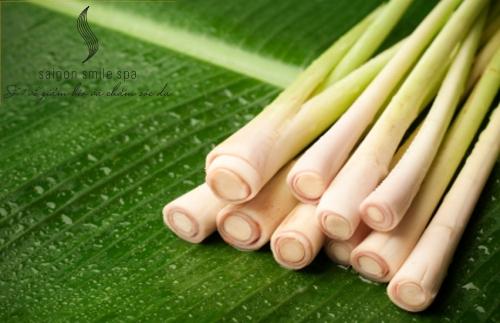 9 cong dung chua benh bat ngo tu CU SA