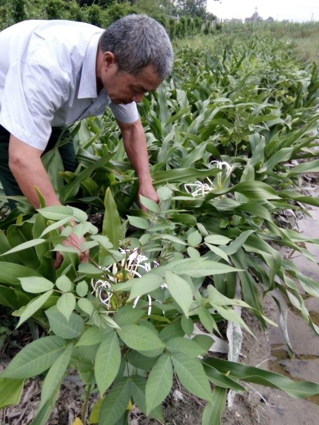'Hai Thuong Lan Ong' cua nui rung Tam Dao