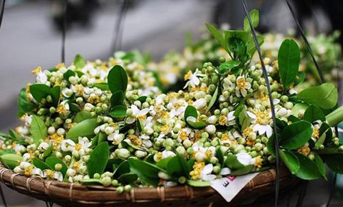 Thang 3 mua hoa buoi, ban da biet het cong dung tuyet voi cua hoa buoi chua?