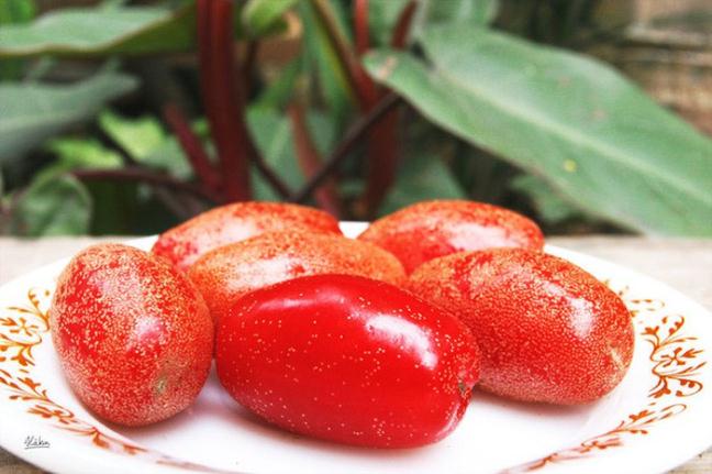 Mua nhot da den, cung diem lai cong dung tuyet voi cua qua nhot