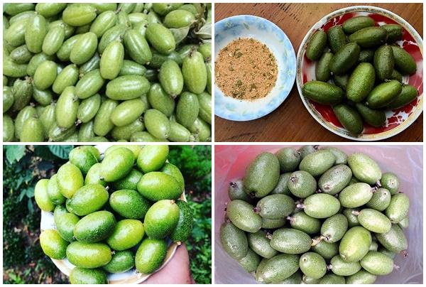 Mua nhot da den, cung diem lai cong dung tuyet voi cua qua nhot