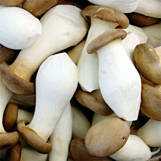 Nhung loai thuc pham la ' khac tinh' cua benh ung thu 