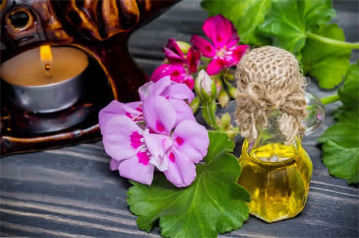 10 loai tinh dau duoi muoi cuc hieu qua