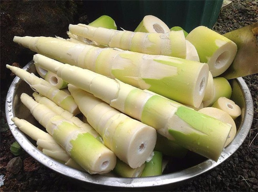 15 loai thuc pham khong nau chin ki se 'sat hai' gia dinh ban