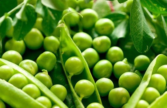 Khong chi moi thit, 5 thuc pham sau cung la nguon cung cap protein doi dao