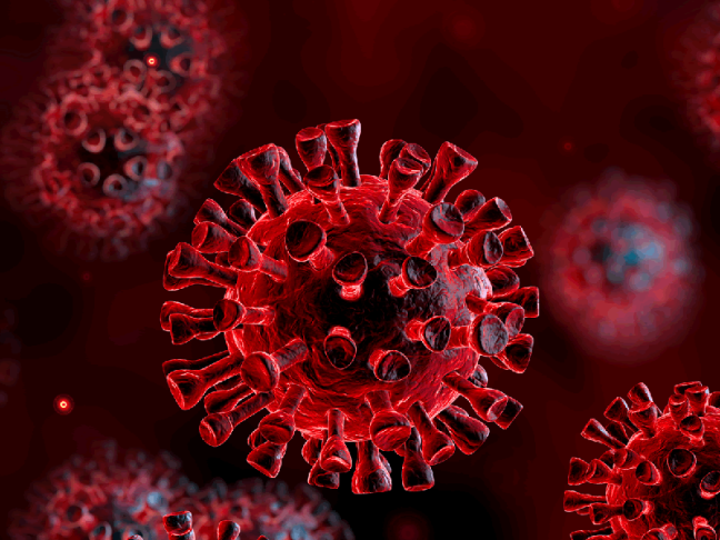 CDC My keu goi phu nu mang thai nen tiem vaccine ngua COVID-19