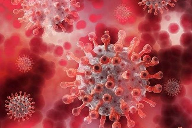 Phat hien virus moi lien quan den SARS-CoV-2 tren loai doi o Lao