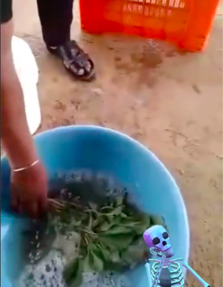 Xuat hien clip rau heo ua duoc 'phu phep' ngoc dau tuoi roi tro lai chi trong vai giay, chuyen gia noi gi?