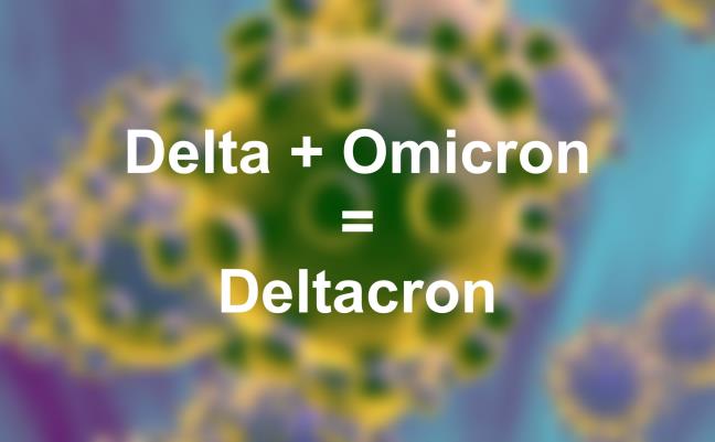 Deltacron - Bien the COVID moi ket hop Delta va Omicron duoc tim thay o Dao Sip