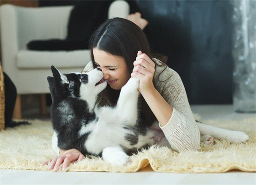 Canh bao nhung nguoi nuoi cho meo khong nen de vat nuoi liem vao mat