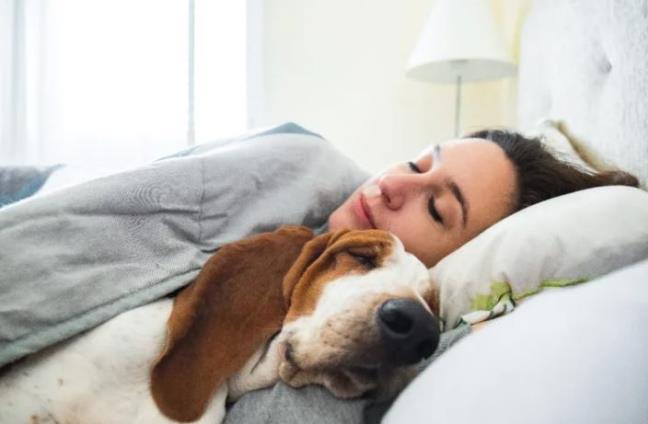 5 cach don gian de lam sach doc to tren toan bo co the 