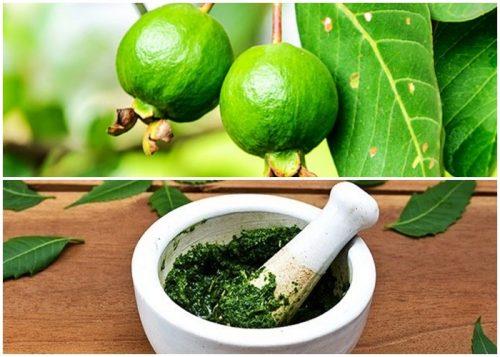 Ban da biet cong dung lam dep than thanh cua la oi chua?