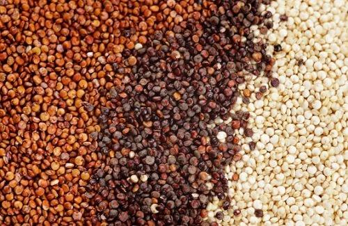 7 cach tang cuong tieu thu protein hang ngay 