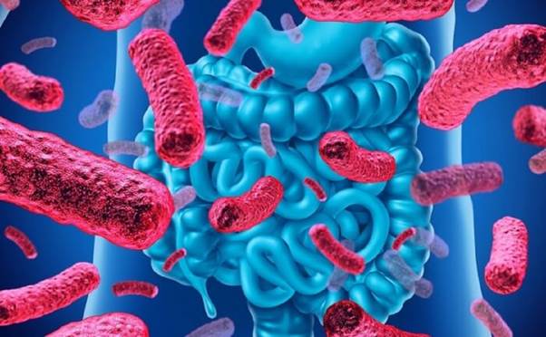 3 van de tieu hoa thuong gap trong mua nang nong ma moi nguoi can luu y