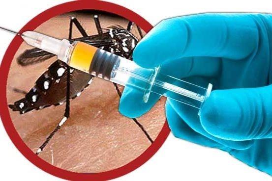 Lan dau tien, Viet Nam cap phep su dung vaccine sot xuat huyet