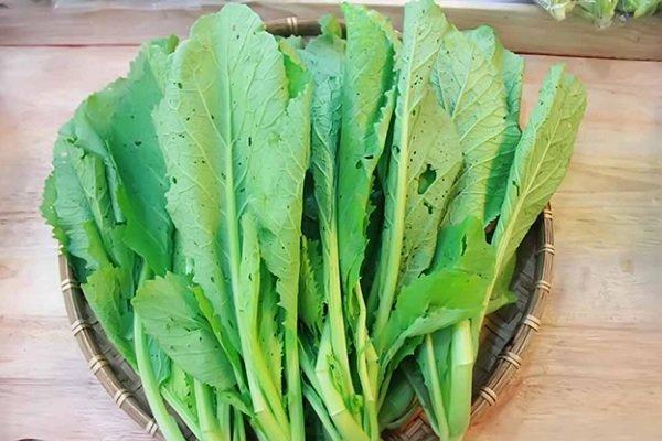 Nhung nguoi co chuc nang gan kem nen an it loai rau nay vi chung co the lam tang ganh nang cho gan