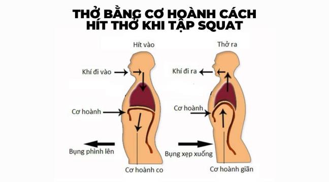 1 bai tap don gian giup tang cuong chuc nang tim phoi, phong ngua 3 benh ho hap man tinh