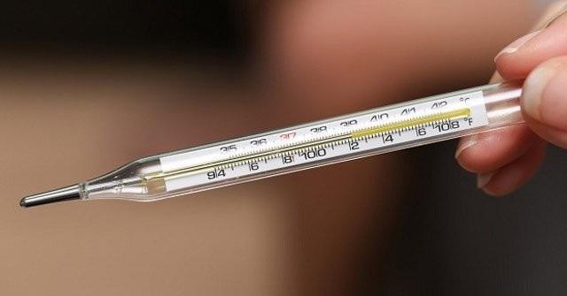 Cum sap buoc vao mua cao diem, giu 4 thu o nha de su dung hieu qua vao nhung thoi diem quan trong