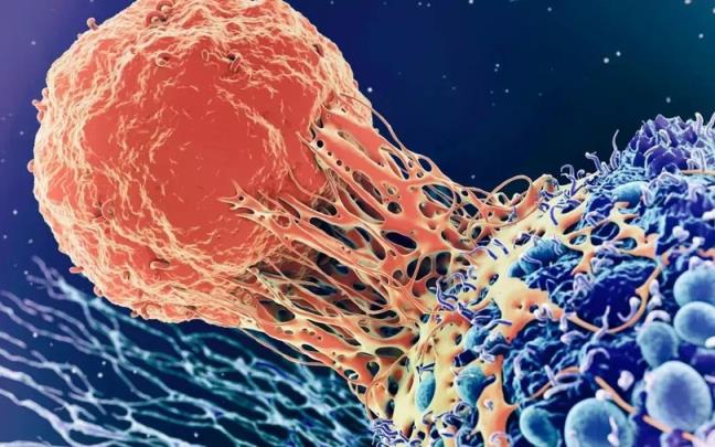 Tai sao ngay cang nhieu nguoi mac ung thu mac du cuoc song ngay cang phat trien?