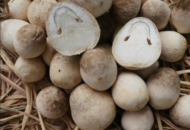 An 18 gram thuc pham nay moi ngay co the giam nguy co ung thu toi 45%