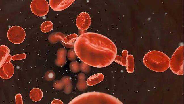 5 thoi quen tuong chung vo hai nhung lai co the khien mau ban ngay cang dac, can than nhoi mau nao va dot quy tim