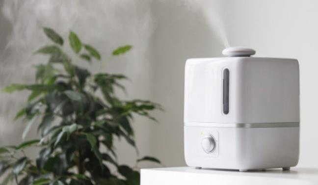 Su dung may tao do am khong dung cach co the gay hai cho suc khoe cua ban