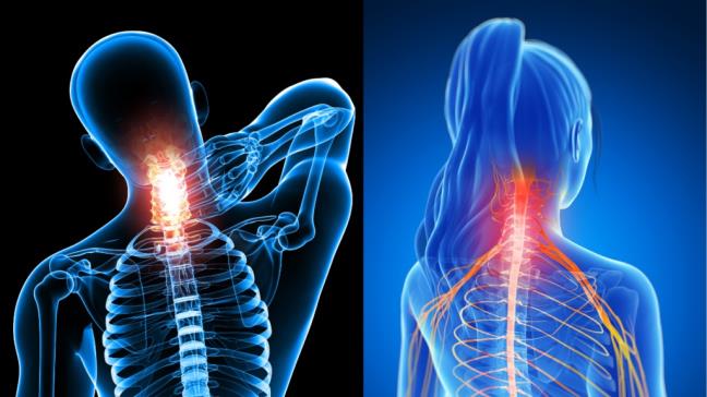 Te bi va ngua ran co the la dau hieu cho thay cot song co dang gap van de