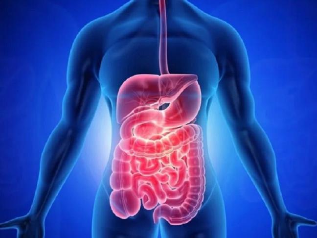 De dieu tri cac van de ve gan, hay bat dau bang viec lam sach dai trang, day la cach lam sach ruot, dieu hoa khi va thuc day nhu dong ruot