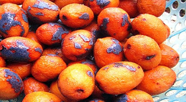 Co om la gi? Mon dac san dang “on trend” co thuc su tot cho suc khoe?