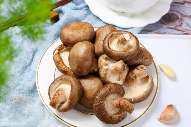 Ai cung so ung thu, nhung te bao ung thu lai so bon loai thuc pham nay nhat