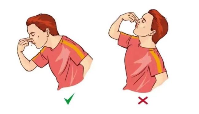 Dung tuong ngua co khi chay mau cam la tot, day moi la cach dung