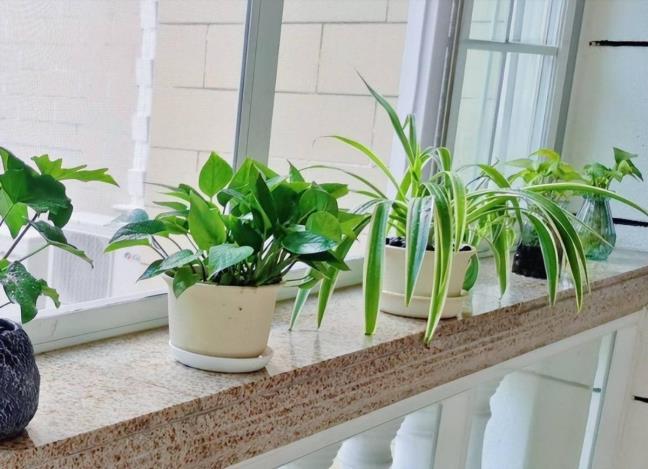 He mien dich khoe manh la lieu thuoc khang virus tot nhat, day la 7 meo don gian de tang cuong he mien dich tai nha