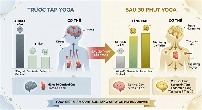 Yoga 30 phut giam cortisol hieu qua tuong duong thuoc an than lieu thap, nghien cuu chung minh