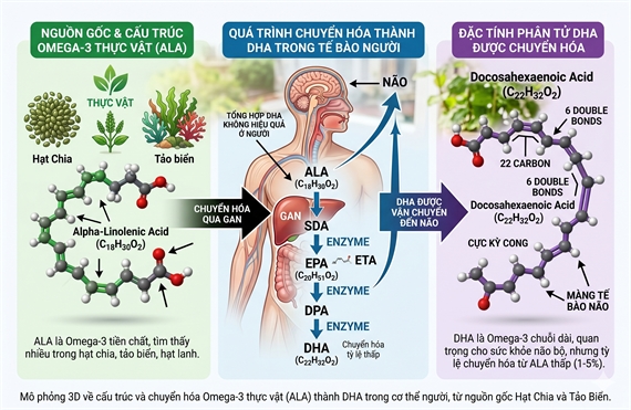 4 vi chất dễ thiếu hụt vì ăn chay, thay bằng nguồn thực phẩm nào để tránh dùng thuốc? 4 vi chat de thieu hut vi an chay, thay bang nguon thuc pham nao de tranh dung thuoc?