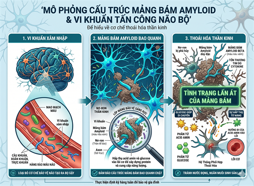 Phat hien loai vi khuan trong nguon nuoc sinh hoat co the gay benh Alzheimer