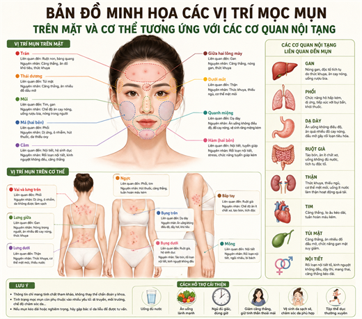 7 vi tri moc mun tren co the va thong diep 